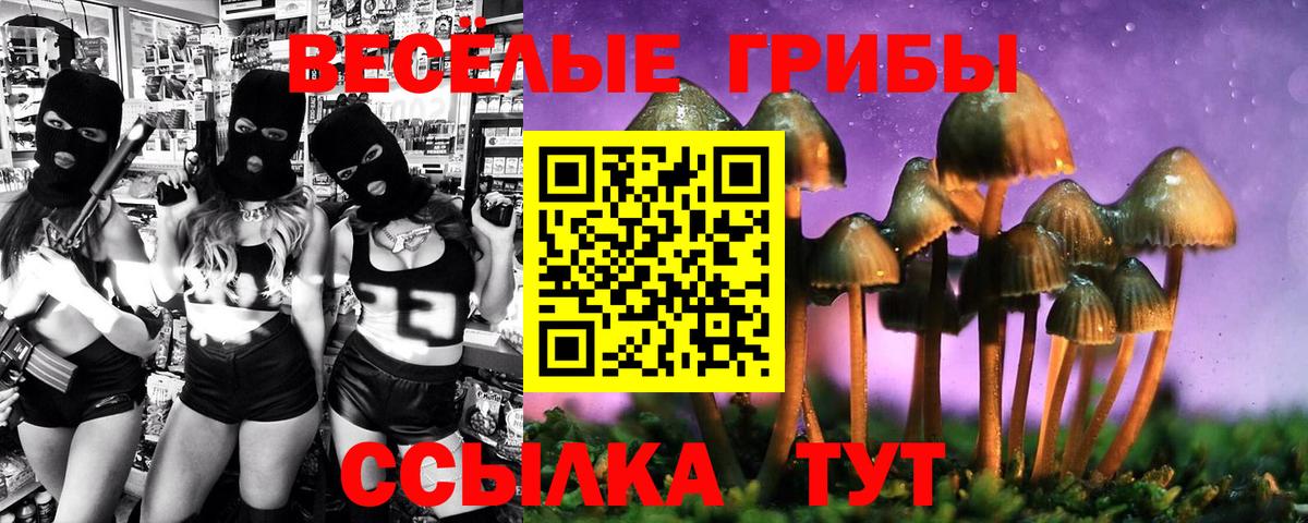 Янаул  Галлюциногенные грибы GOLDEN TEACHER  Вход с VPN  Галлюциногенные грибы Cubensis 